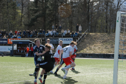 Varfjell - Kårvåg/Havørn 2025